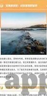 森林舞会怎么压才不亏-森林舞会策略，稳健投注，享受游戏乐趣