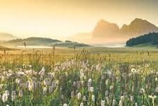 足球身价比分-足球身价与比分，虚幻数字背后的赛场风云